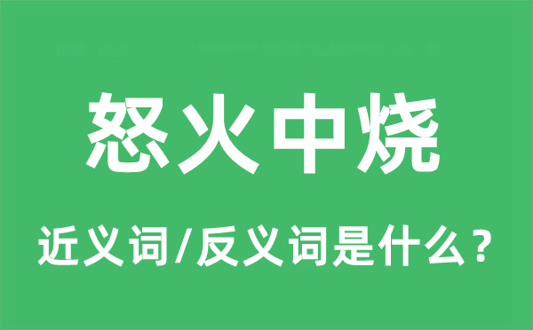 怒火中烧的近义词和反义词是什么,怒火中烧是什么意思