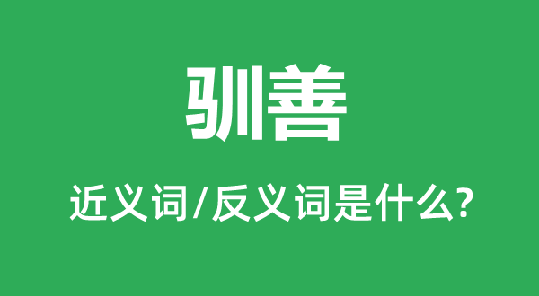 驯善的近义词和反义词是什么,驯善是什么意思