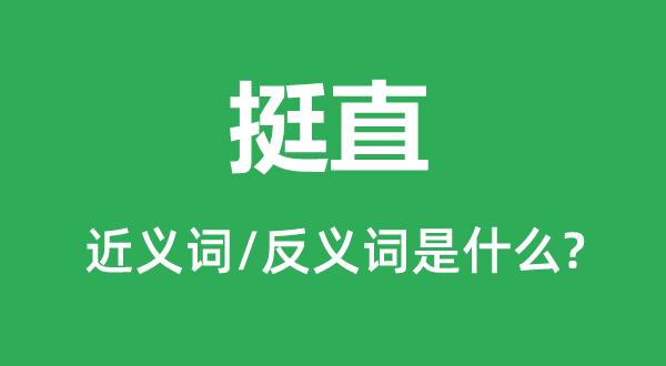 挺直的近义词和反义词是什么,挺直是什么意思