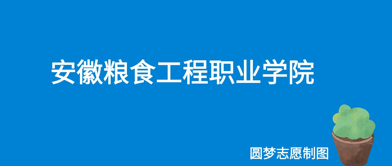 2024安徽粮食工程职业学院录取分数线（全国各省最低分及位次）