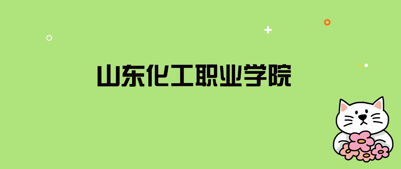 2024年山东化工职业学院录取分数线是多少？看全国19省的最低分