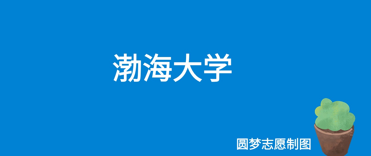 2024渤海大学录取分数线（全国各省最低分及位次）