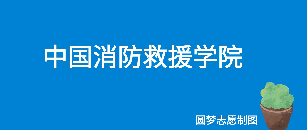 2024中国消防救援学院录取分数线（全国各省最低分及位次）