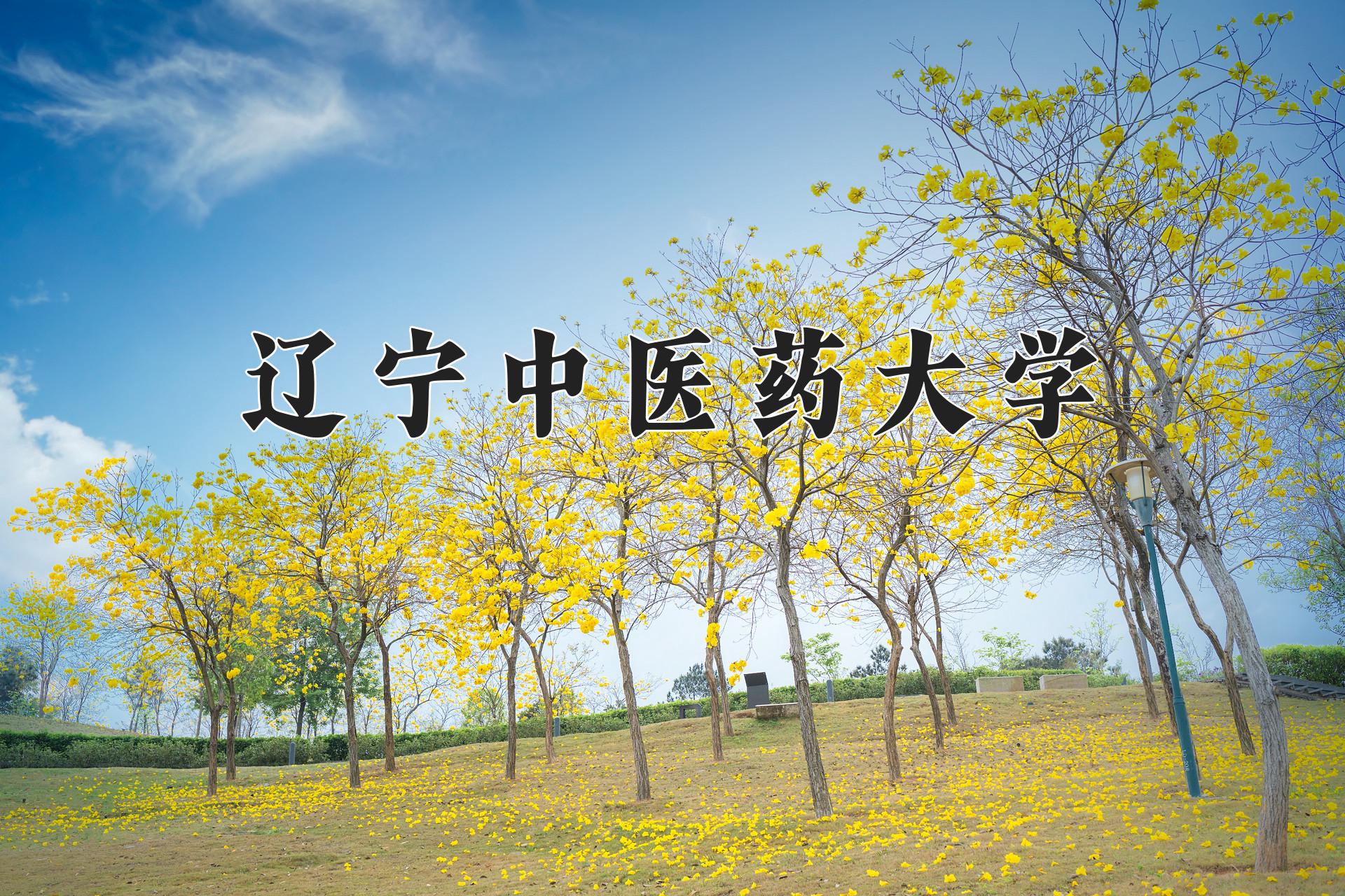 辽宁中医药大学