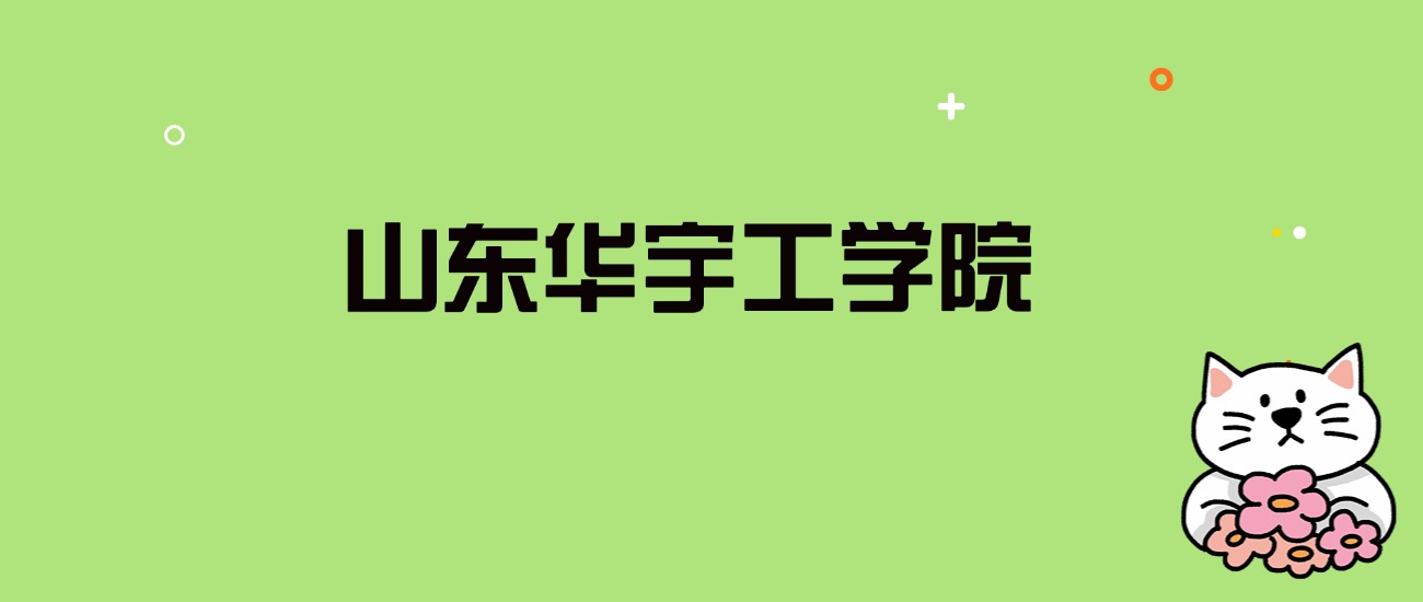 2024年山东华宇工学院录取分数线是多少？看全国5省的最低分