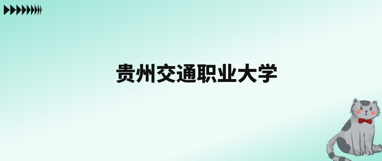 张雪峰评价贵州交通职业大学：王牌专业是大数据技术