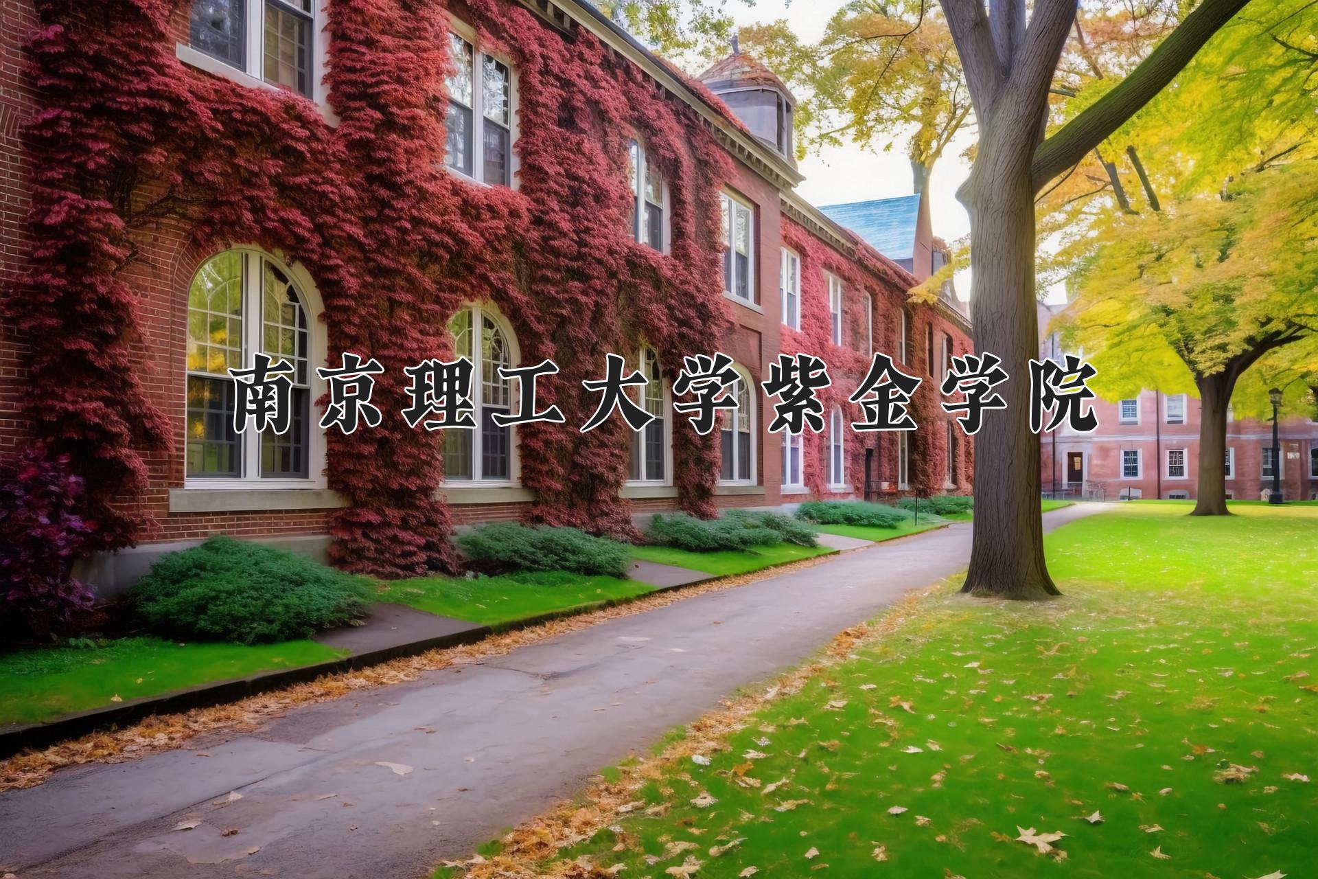 南京理工大学紫金学院