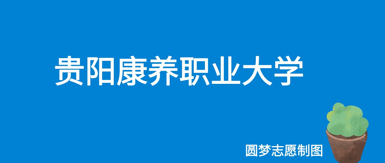 2024贵阳康养职业大学录取分数线（全国各省最低分及位次）