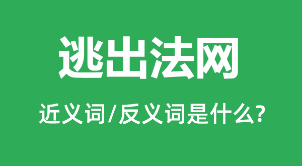 逃出法网的近义词和反义词是什么,逃出法网是什么意思