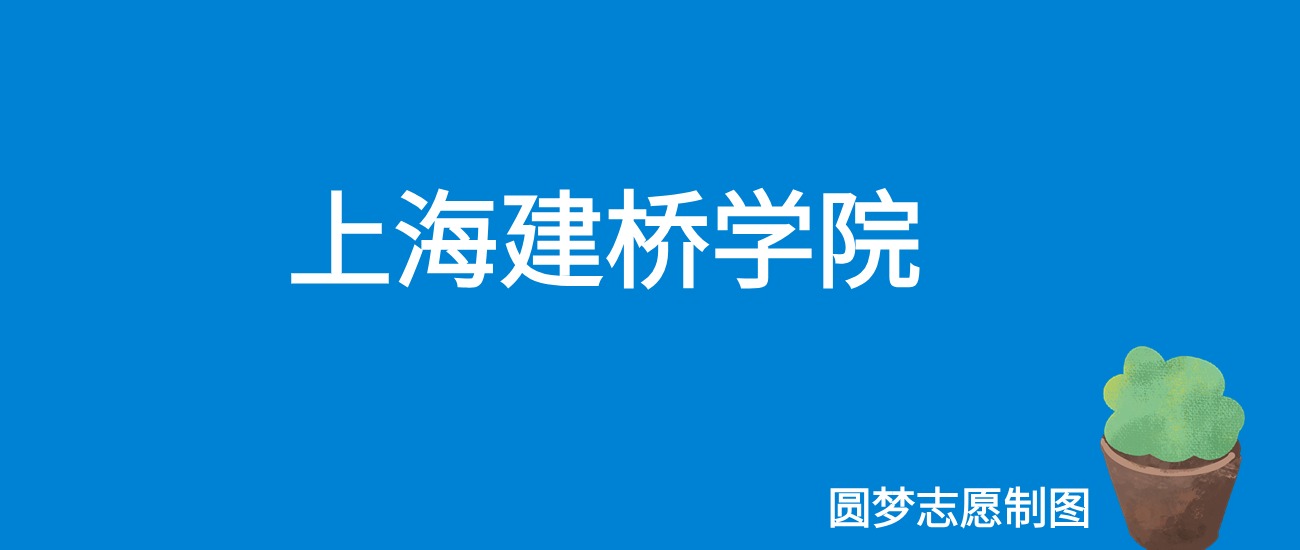 2024上海建桥学院录取分数线（全国各省最低分及位次）