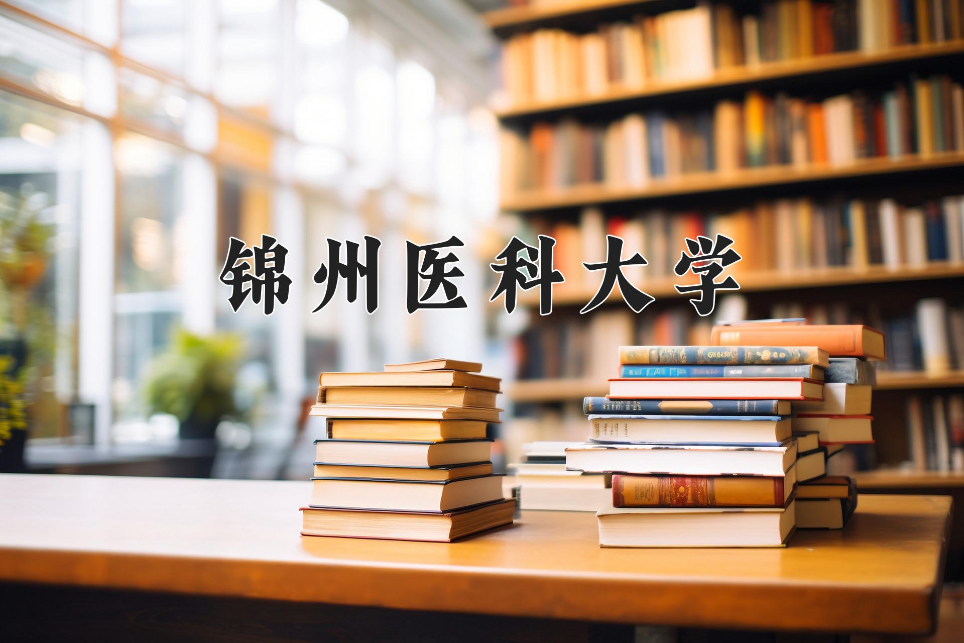 锦州医科大学