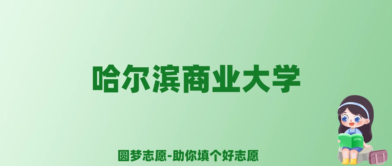 张雪峰谈哈尔滨商业大学：和211的差距对比、热门专业推荐