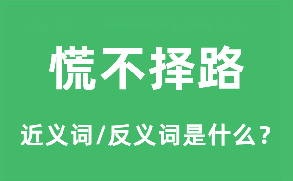 慌不择路的近义词和反义词是什么,慌不择路是什么意思