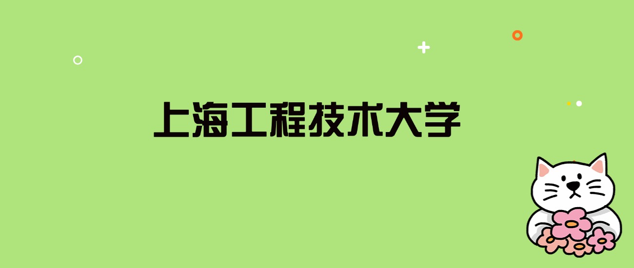 2024年上海工程技术大学录取分数线是多少？看全国27省的最低分