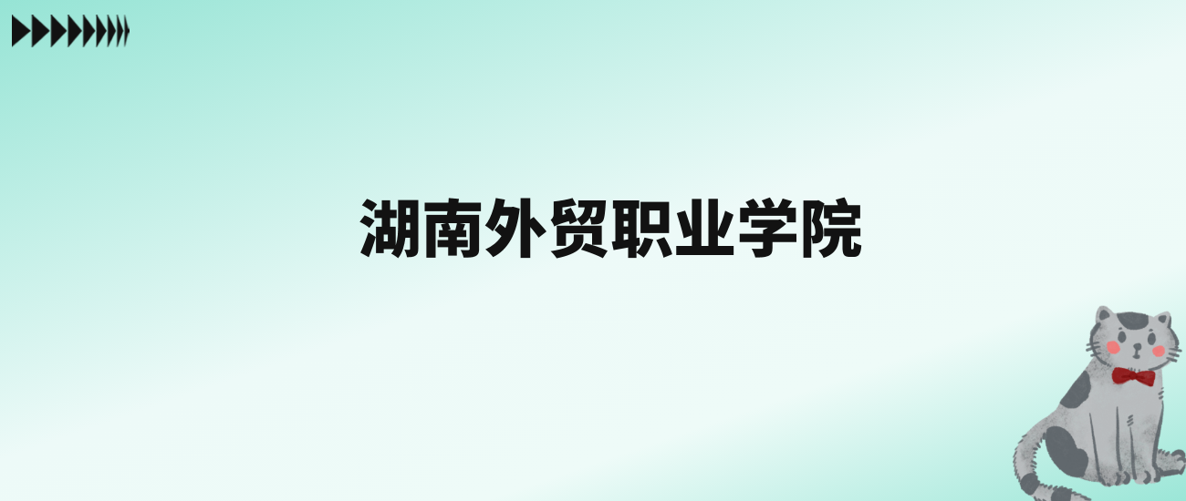 张雪峰评价湖南外贸职业学院：王牌专业是国际经济与贸易