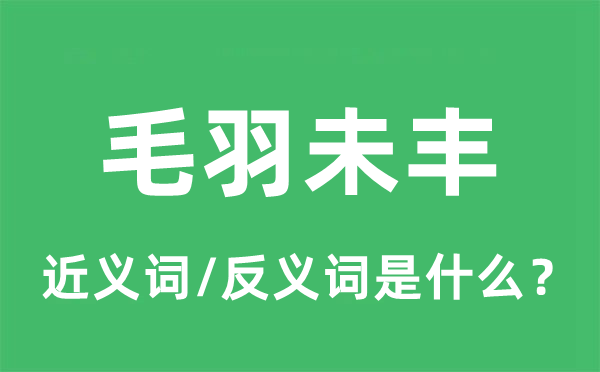 毛羽未丰的近义词和反义词是什么,毛羽未丰是什么意思