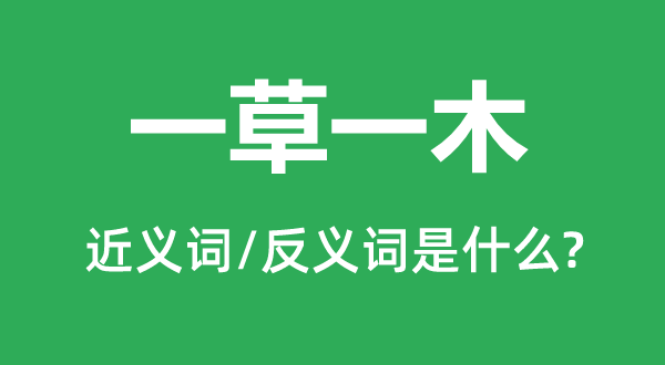 一草一木的近义词和反义词是什么,一草一木是什么意思