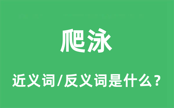 爬泳的近义词和反义词是什么,爬泳是什么意思