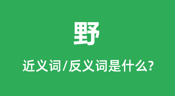 野的近义词和反义词是什么,野是什么意思