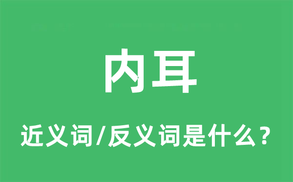 内耳的近义词和反义词是什么,内耳是什么意思