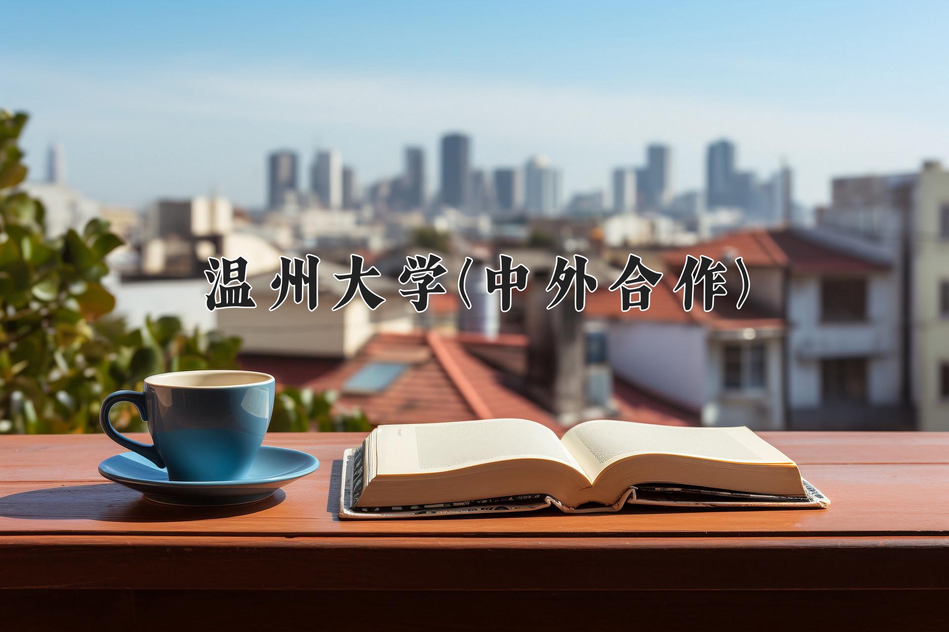 温州大学(中外合作)