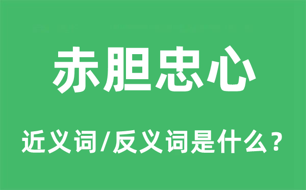 赤胆忠心的近义词和反义词是什么,赤胆忠心是什么意思