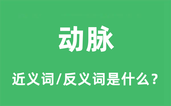 动脉的近义词和反义词是什么,动脉是什么意思