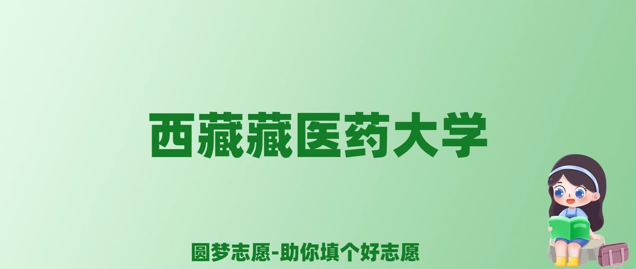 张雪峰谈西藏藏医药大学：和211的差距对比、热门专业推荐