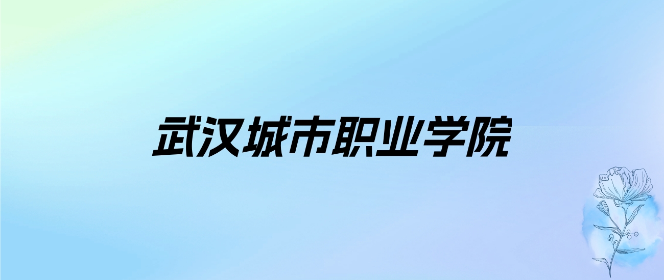 2024年武汉城市职业学院学费明细：一年5000-15000元（各专业收费标准）