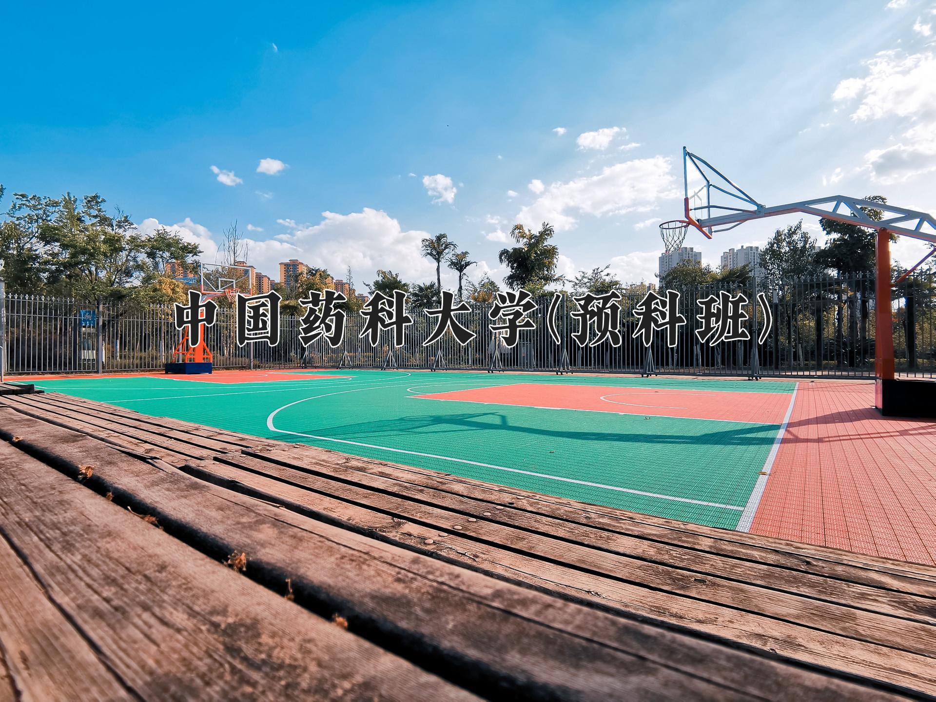 中国药科大学(预科班)