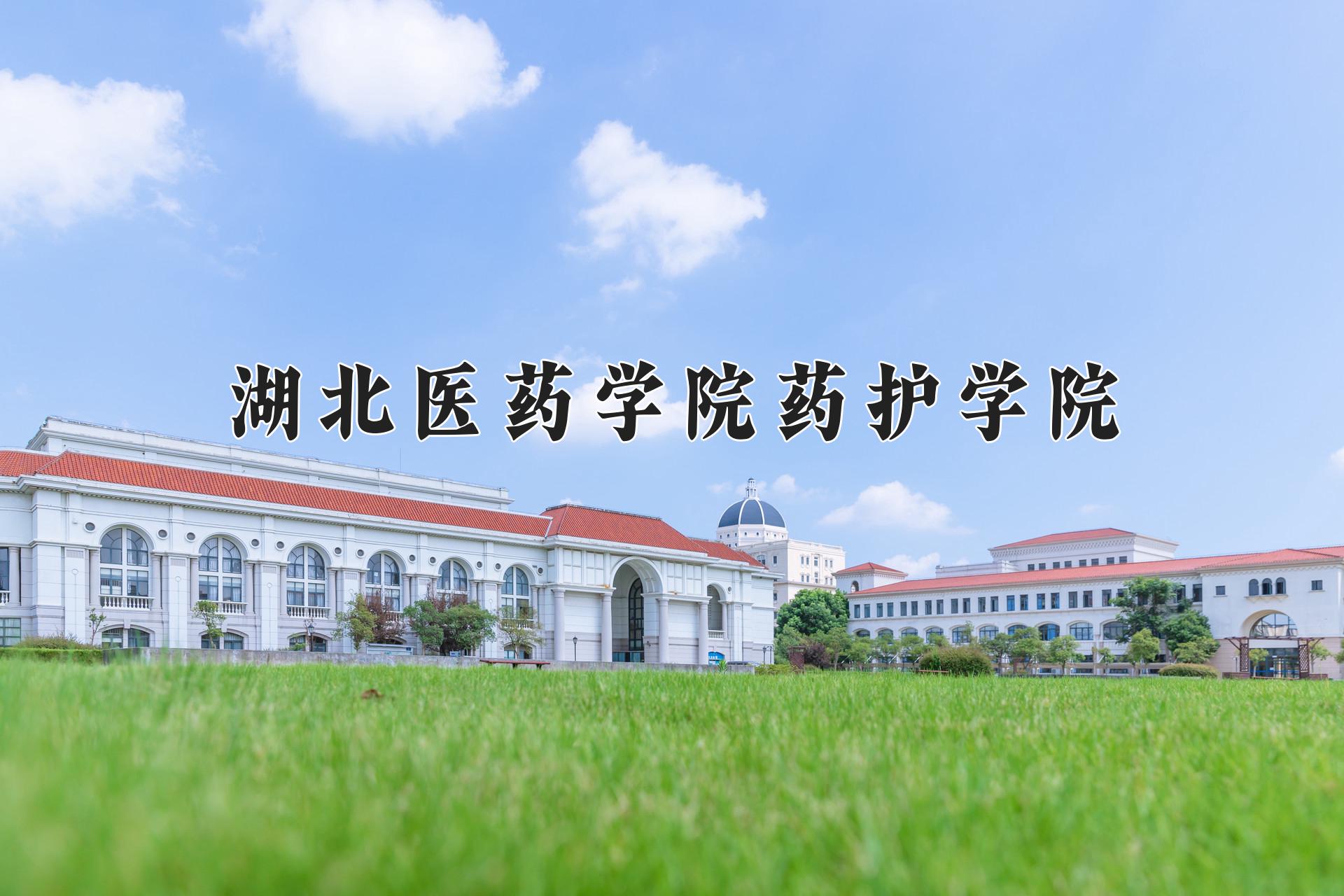 湖北医药学院药护学院