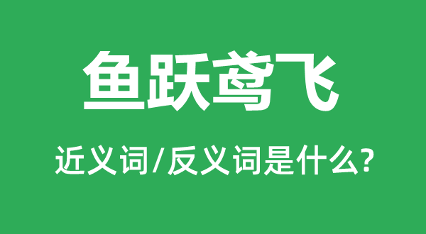 鱼跃鸢飞的近义词和反义词是什么,鱼跃鸢飞是什么意思