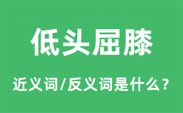 低头屈膝的近义词和反义词是什么,低头屈膝是什么意思