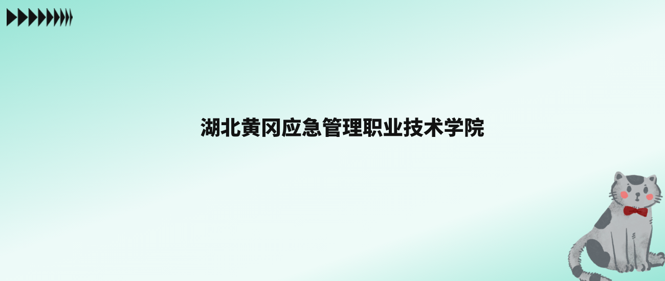 张雪峰评价湖北黄冈应急管理职业技术学院：王牌专业是应急救援技术