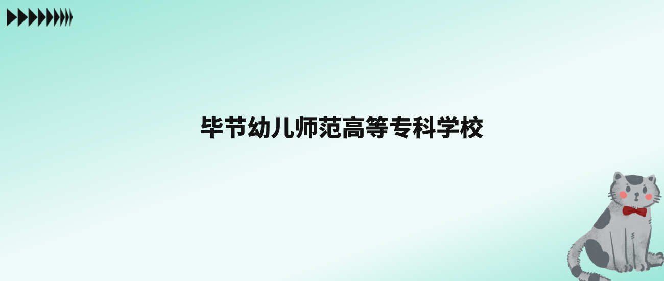 张雪峰评价毕节幼儿师范高等专科学校：王牌专业是小学英语教育