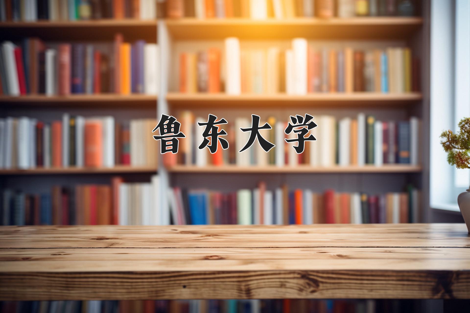 鲁东大学