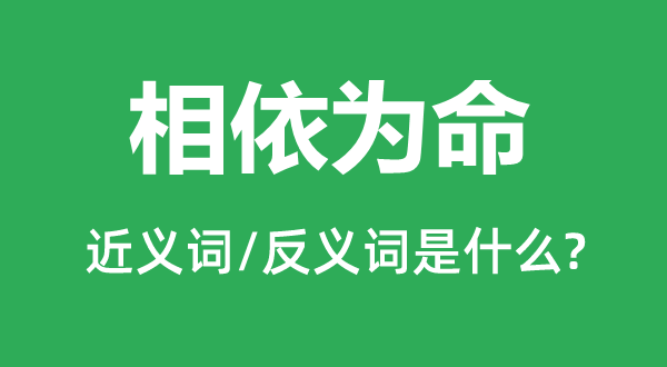 相依为命的近义词和反义词是什么,相依为命是什么意思