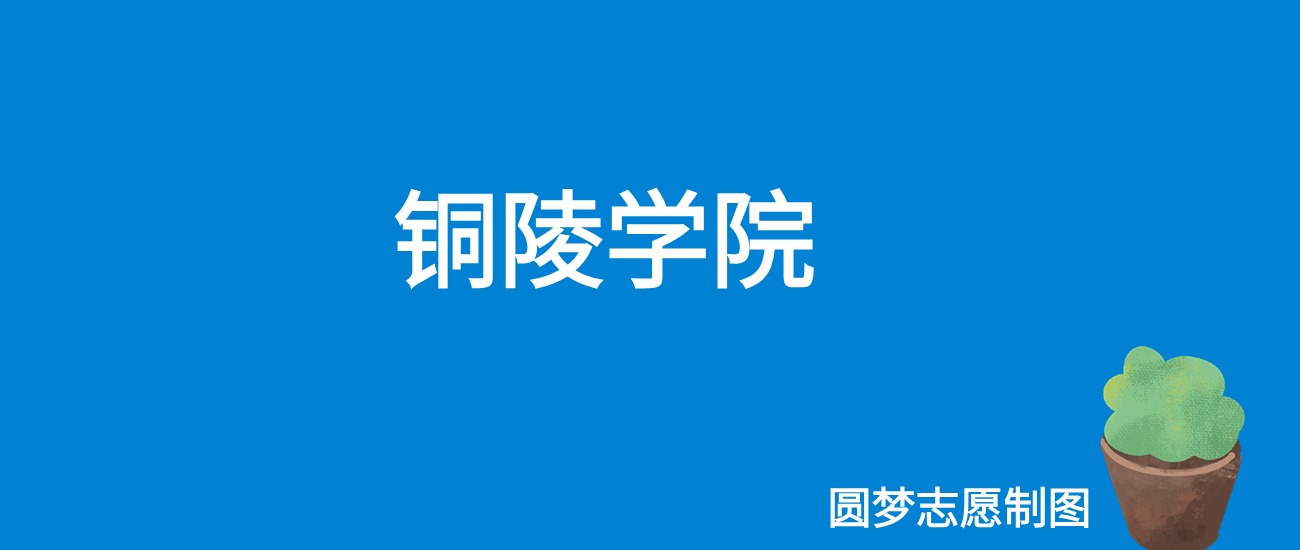 2024铜陵学院录取分数线（全国各省最低分及位次）