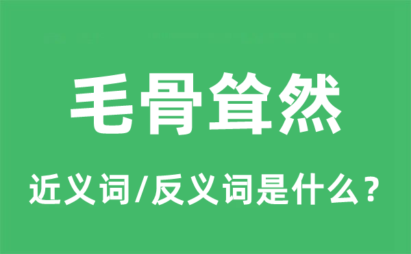 毛骨耸然的近义词和反义词是什么,毛骨耸然是什么意思