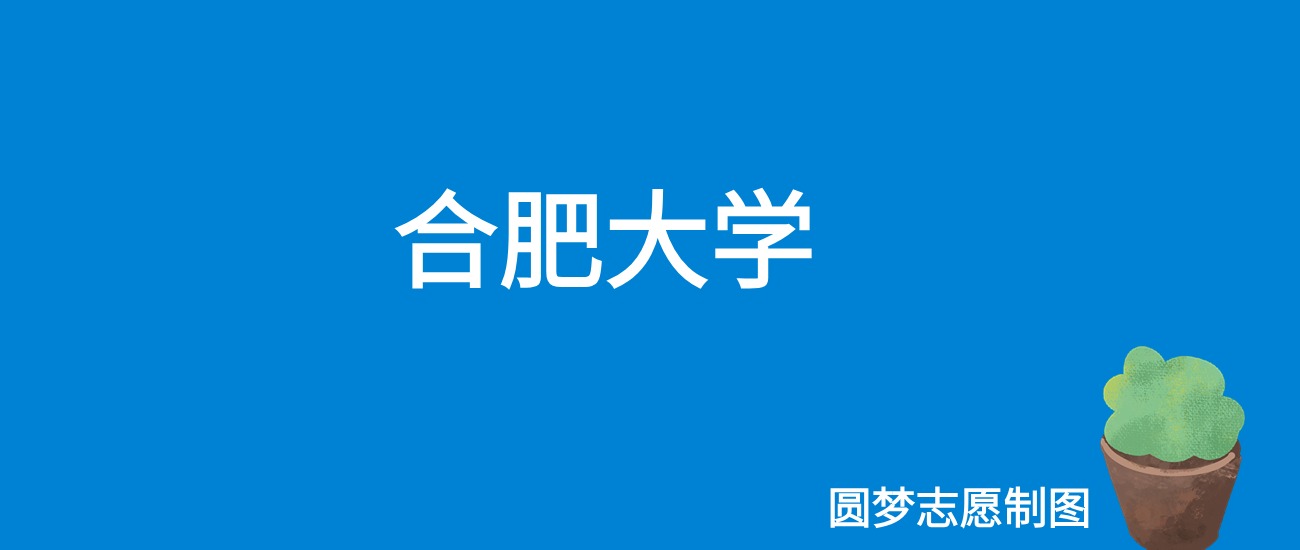 2024合肥大学录取分数线（全国各省最低分及位次）