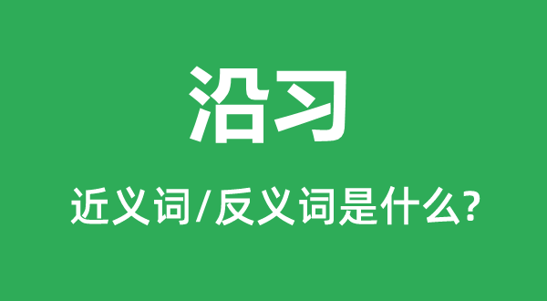 沿习的近义词和反义词是什么,沿习是什么意思