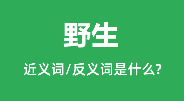 野生的近义词和反义词是什么,野生是什么意思