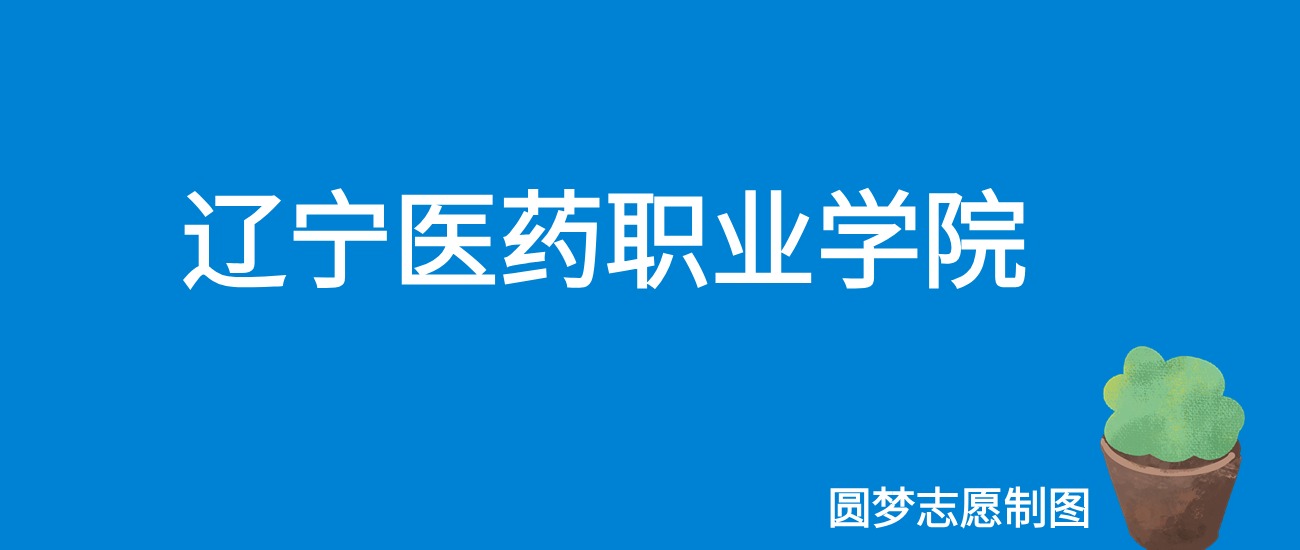 2024辽宁医药职业学院录取分数线（全国各省最低分及位次）