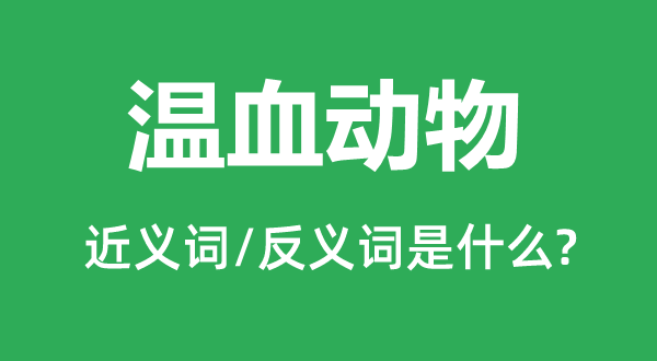 温血动物的近义词和反义词是什么,温血动物是什么意思