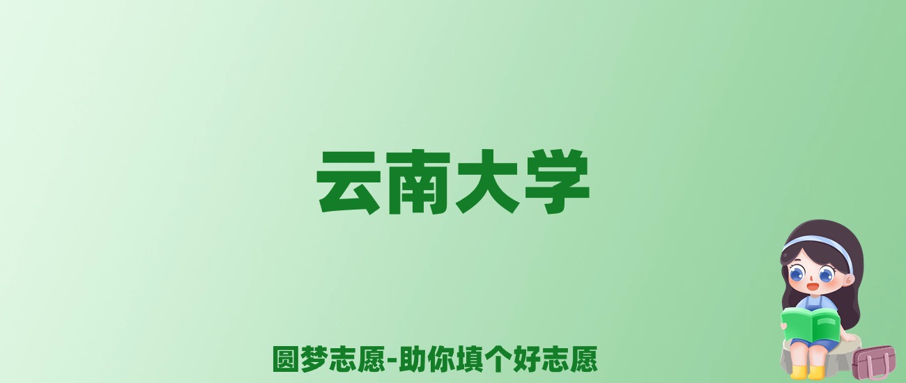 张雪峰谈云南大学：和985的差距对比、热门专业推荐