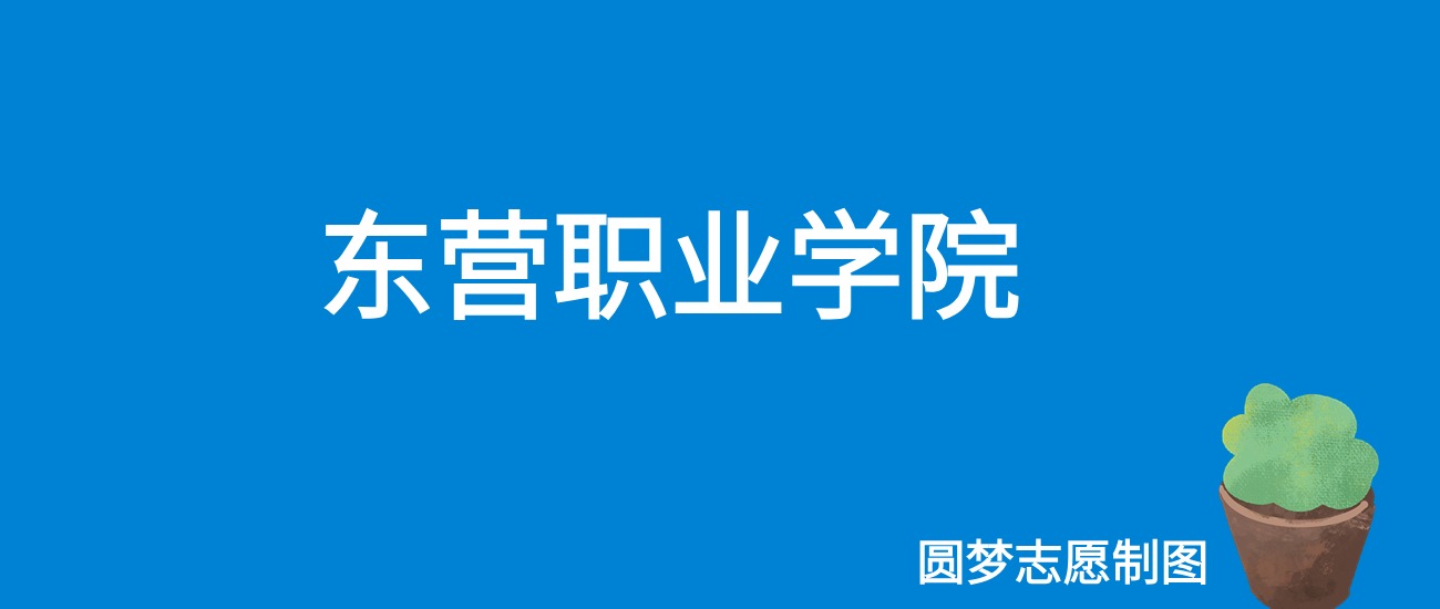 2024东营职业学院录取分数线（全国各省最低分及位次）