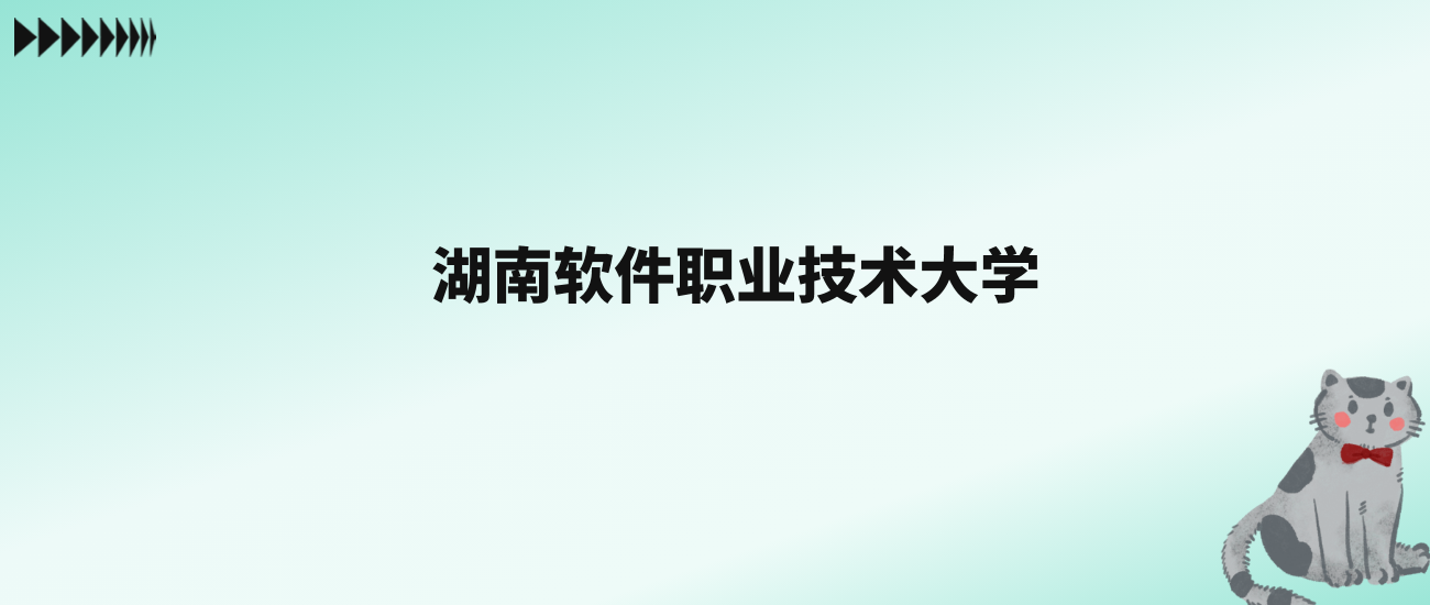 张雪峰评价湖南软件职业技术大学：王牌专业是大数据与会计